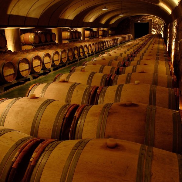 Viñedos