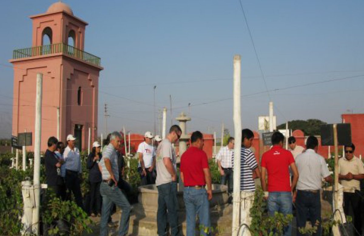 Grupo Pan American Sil